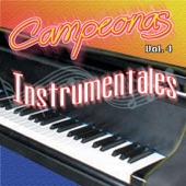 Campeonas Instrumentales, Vol. 4 artwork