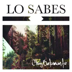 Lo Sabes - Single - Chuy Bustamante