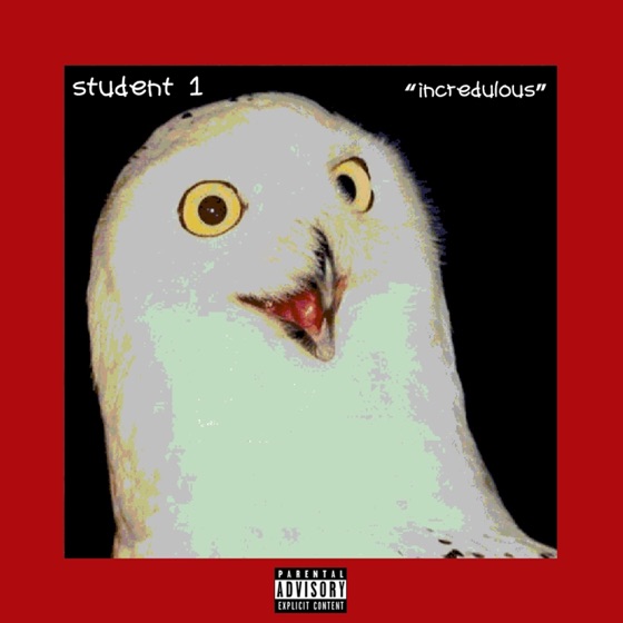 Cover artwork for Incredulous