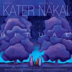 Peter Kater - Space Within