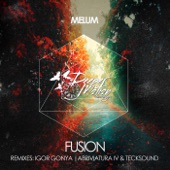 Fusion (Abriviatura IV & TeckSound Remix) artwork