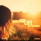 Nothing More Than Life (Melodika Remix) - Belladonna lyrics