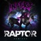 Raptor 2015 (Subfiltronik Remix) artwork
