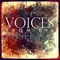 T.E.E.S.O.E. - Voices From The Fuselage lyrics