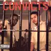 This is for the Convicts (feat. Big Mike & Mr. 3-2) song lyrics