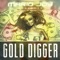 Gold Digger (Radio Edit) - Mario Joy lyrics