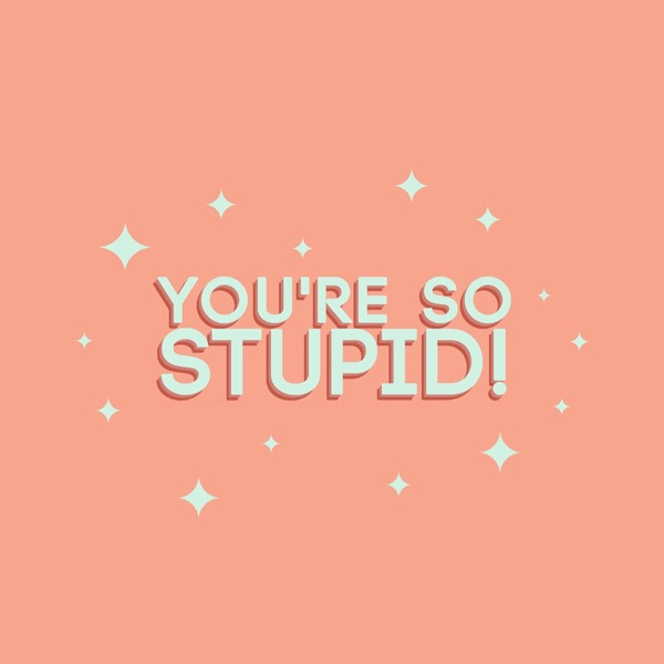 You're So Stupid cover