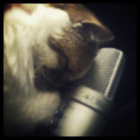 Purrcast podcast