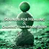 Sounds for Healing & Calming Your Mind & Body: New Age Music for Meditation, Spa, Relaxation, Zen Garden, Calming Tracks with Nature Sounds for Deep Sleep, Yoga Time album lyrics, reviews, download