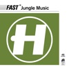 Fast Jungle Music, 2015