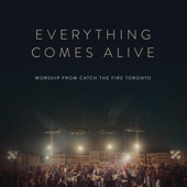 Everything Comes Alive artwork