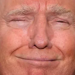 Dear Trumpy (Love Letter to Donald Trump) - Single - Dan Bull Dear Trumpy (Love Letter to Donald Trump) - Single - Dan Bull
