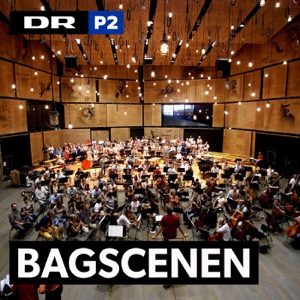 Bagscenen 2015-12-19