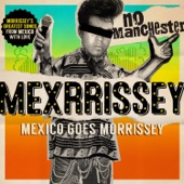 Mexrrissey - International Playgirl (The Last of the Famous International Playboys)