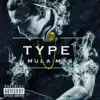 Type 1 album lyrics, reviews, download