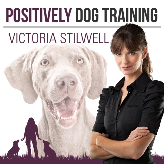 Positively Dog Training The Official Victoria Stilwell