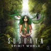 Spirit World - Single