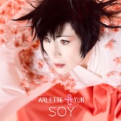 Soy artwork