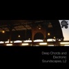 Deep Chords and Electronic Soundscapes, L2, 2017