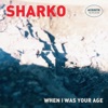 When I Was Your Age (Acoustic Version) - Single