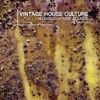 Vintage House Culture, Vol. 4 - Nu Disco House Sounds