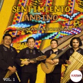 Música Andina Volumen 1 (Música de Ecuador) artwork