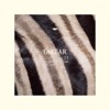 Light Bullet (feat. Andrea Triana) [Remixed] - EP