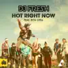 Hot Right Now (feat. Rita Ora) [Remixes] album lyrics, reviews, download