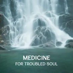 Medicine for Troubled Soul – Healing Music with Natural Sounds & Instruments, Music to Fight Depression and Improve Mood by Tranquility Spa Universe album reviews, ratings, credits