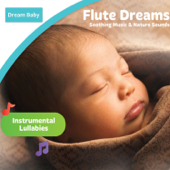 Flute Dreams - Dream Baby