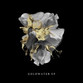 Gravity (feat. Verzache) by Goldwater