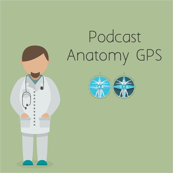 Podcast do Anatomy GPS cover