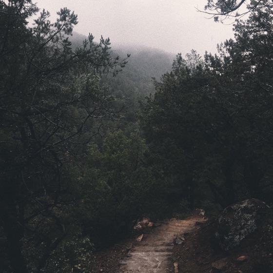 Cover artwork for No Turning Back