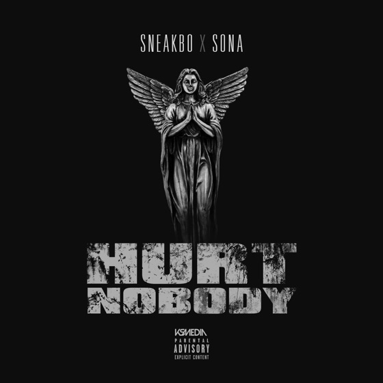 Cover artwork for Hurt Nobody (feat. Sona)