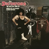 The Dictators - Backseat Boogie (With Vocal)