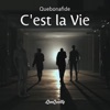 C'est La Vie - Single