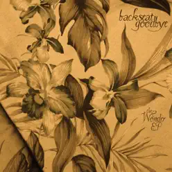 The Wonder - EP - Backseat Goodbye