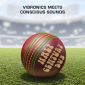 Vibronics/Conscious Sounds - Long Time Dub