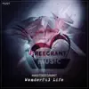 Stream & download Wonderful Life - Single