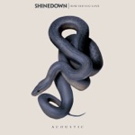 Shinedown - How Did You Love (Acoustic)