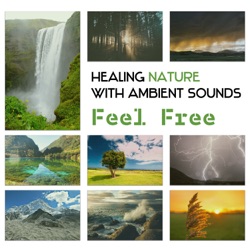 Calm Sleep Through the Night - Sauna Background, Spa Music