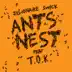 Ants Nest (feat. T.O.K.) - Single album cover