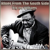Blues From the South Side artwork
