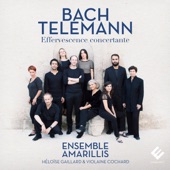 Bach & Telemann: Effervescence concertante artwork