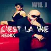 C'est La Vie (Remix) - Single album lyrics, reviews, download