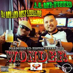 Wonder (feat. A.G. One-Hunned) - Single by Da One And Only LisdaJoe album reviews, ratings, credits