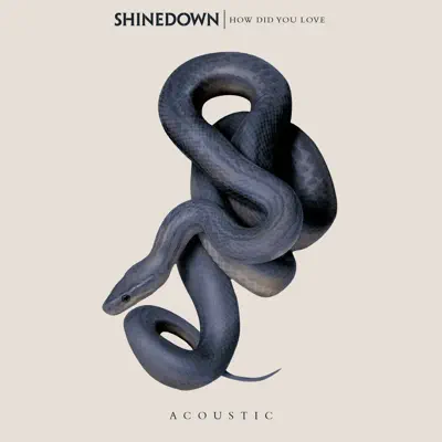 How Did You Love - Single - Shinedown