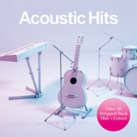 Various Artists - Acoustic Hits artwork