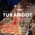 Turandot, Act II: Ho una casa nell'Honan (Live) song reviews