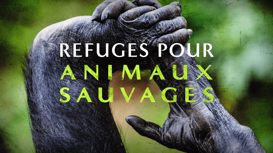 Refuges pour animaux sauvages sur Apple TV